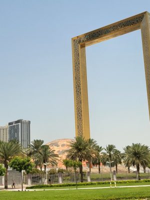 imgi_102_image