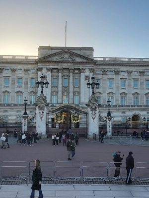 imgi_102_image