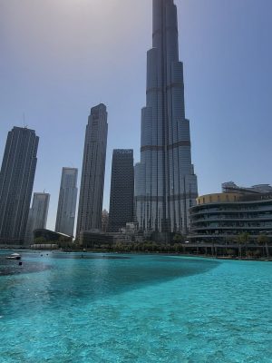 imgi_104_image