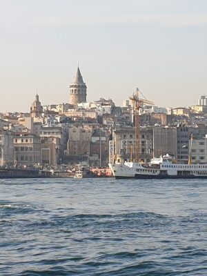 imgi_104_image