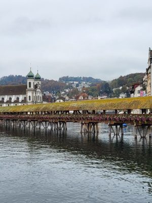 imgi_104_image