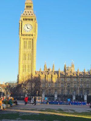 imgi_105_image