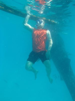 imgi_105_image