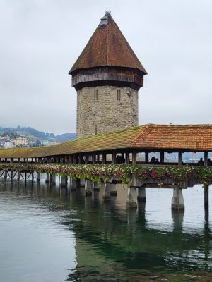imgi_106_image