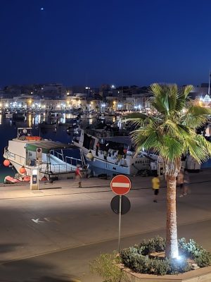 imgi_108_image