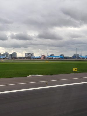 imgi_110_image