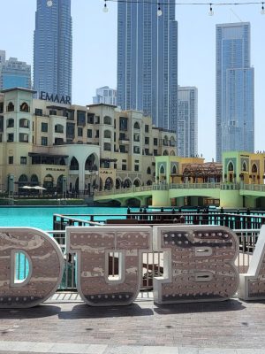 imgi_110_image