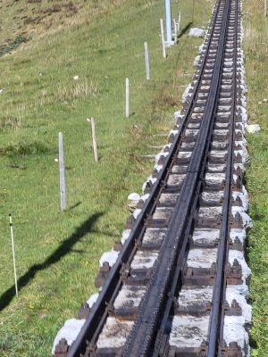 imgi_111_image