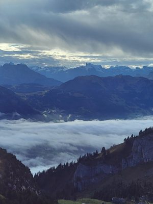 imgi_112_image