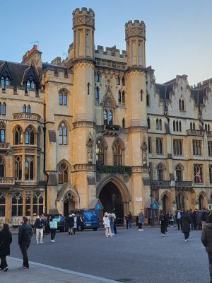 imgi_113_image
