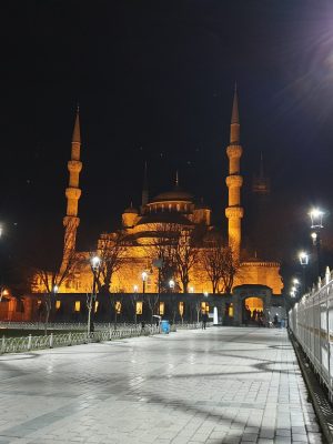imgi_113_image