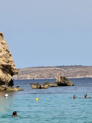 imgi_114_image