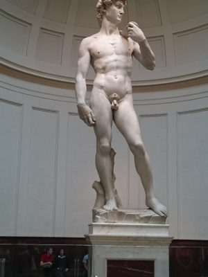 imgi_114_image
