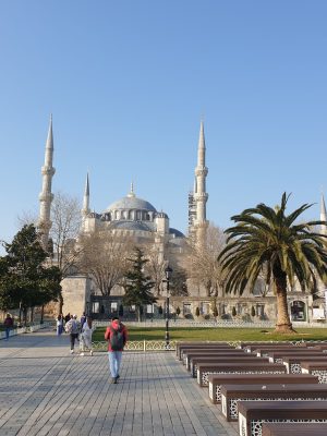 imgi_118_image