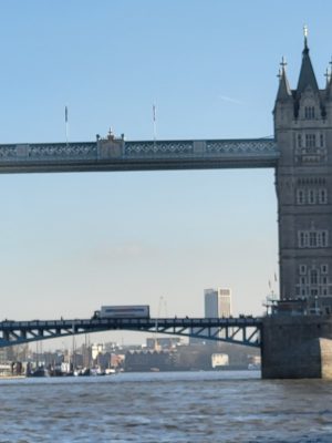imgi_119_image