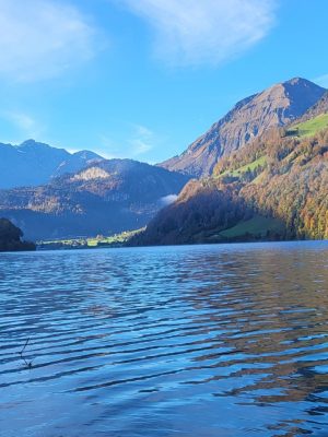 imgi_119_image