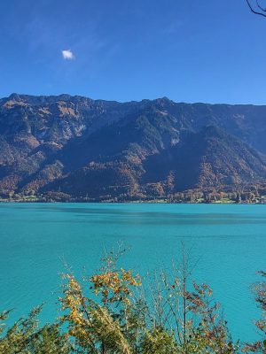 imgi_120_image