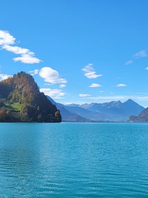 imgi_121_image