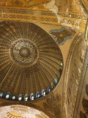 imgi_121_image