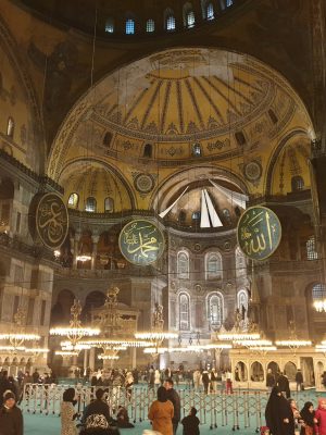 imgi_122_image