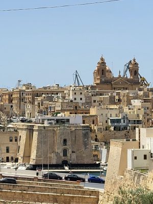 imgi_124_image