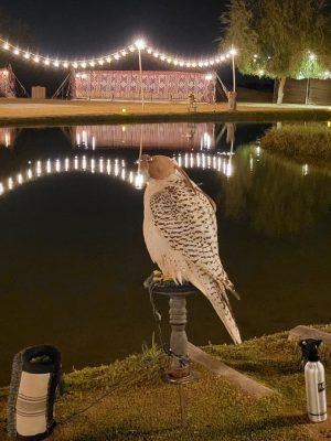 imgi_128_image