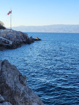 imgi_128_image