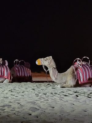imgi_129_image