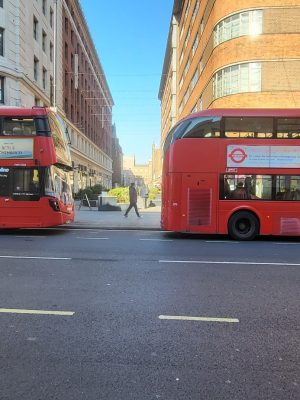 imgi_130_image