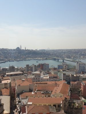 imgi_130_image