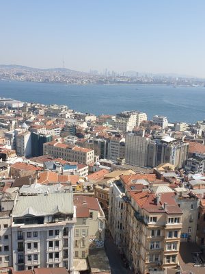 imgi_131_image