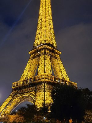 imgi_133_image