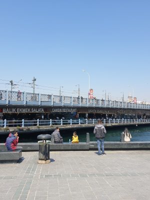 imgi_134_image