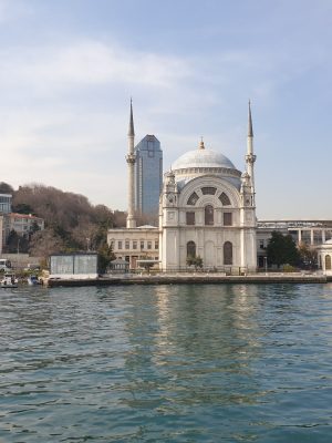 imgi_136_image