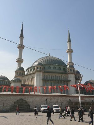 imgi_137_image