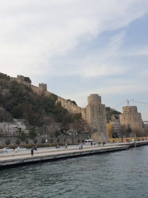 imgi_138_image
