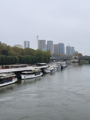 imgi_138_image