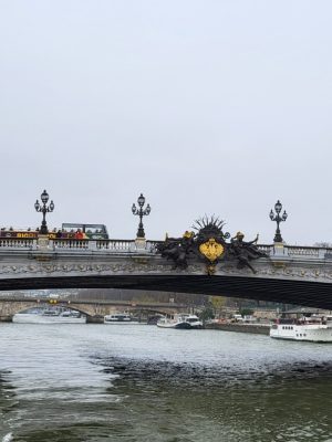 imgi_139_image