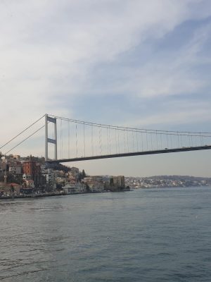 imgi_140_image