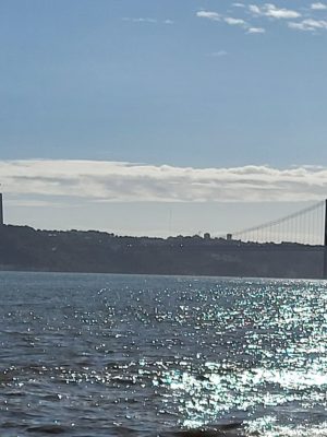 imgi_141_image