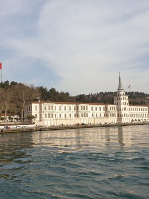 imgi_142_image