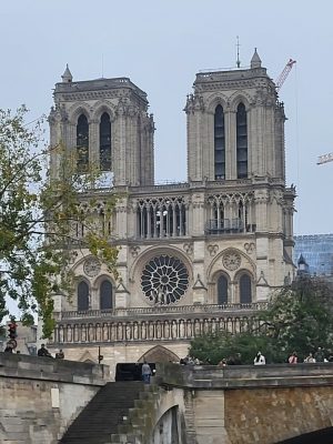 imgi_142_image