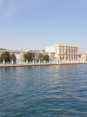 imgi_143_image