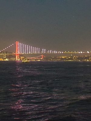 imgi_145_image