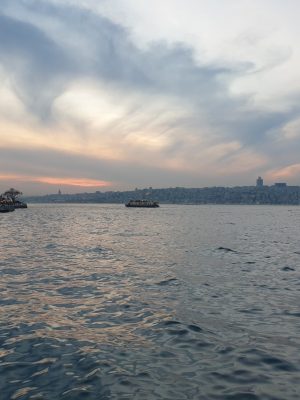 imgi_147_image