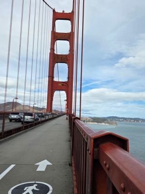 imgi_147_image