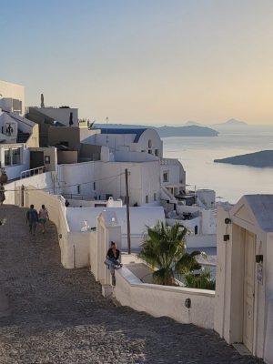 imgi_151_image