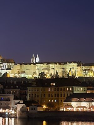 imgi_152_image