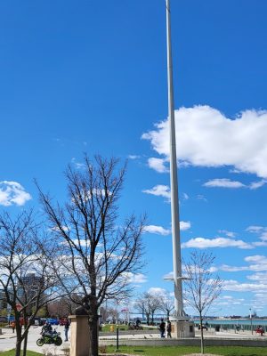 imgi_156_image