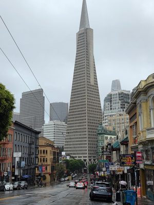 imgi_158_image